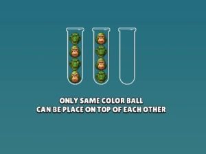 بازی BrainRot Mind Puzzle Sort Challenge آنلاین