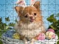 بازی Doggies :ﻝﺯﺎﭘ ﯽﯾﻮﻣ ﻩﺭﺍ ﯼﺭﺎﮐ ﺖﺒﻨﻣ ﻩﺭﺍ  آنلاین