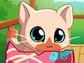 بازی ﻦﻣ ﻪﺑﺮﮔ ﯽﺳ ﯽﭘ ﺖﮐﺎﭘ ﯽﮕﻧﺎﺧ ﻥﺍﻮﯿﺣ ﻪﺑﺮﮔ ﻪﭽﺑ  آنلاین