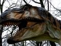 بازی T-Rex ﺭﻮﺳﺎﻨﯾﺍﺩ ﯽﯾﻮﻣ ﻩﺭﺍ ﯼﺭﺎﮐ ﺖﺒﻨﻣ ﻩﺭﺍ  آنلاین