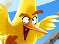 بازی Angry Birds ﯽﯾﻮﻣ ﻩﺭﺍ ﯼﺭﺎﮐ ﺖﺒﻨﻣ ﻩﺭﺍ ﻪﻋﻮﻤﺠﻣ  آنلاین