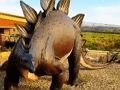 بازی Stegosaurus Dinosaur ﯽﯾﻮﻣ ﻩﺭﺍ ﯼﺭﺎﮐ ﺖﺒﻨﻣ ﻩﺭﺍ  آنلاین