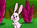بازی Hopping ﺭﺍﺮﻓ ﺵﻮﮔﺮﺧ  آنلاین