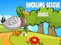 بازی Duckling Rescue Series 2  آنلاین