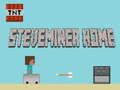 بازی Steveminer ﻪﻧﺎﺧ  آنلاین