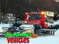 بازی Snow Groomer ﻪﯿﻠﻘﻧ ﻞﯾﺎﺳﻭ  آنلاین