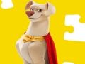 بازی DC Super Pets ﮓﯿﻟ ﯽﯾﻮﻣ ﻩﺭﺍ ﯼﺭﺎﮐ ﺖﺒﻨﻣ ﻩﺭﺍ ﻝﺯﺎﭘ  آنلاین