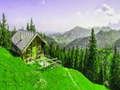 بازی ﭗﻟﺁ ﻩﻮﮐ ﯽﯾﻮﻣ ﻩﺭﺍ ﯼﺭﺎﮐ ﺖﺒﻨﻣ ﻩﺭﺍ  آنلاین