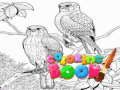 بازی ﻥﻻ﻿ﺎﺴﮔﺭﺰﺑ ﯼﺍﺮﺑ ﯼﺰﯿﻣﺁ ﮓﻧﺭ ﺏﺎﺘﮐ  آنلاین