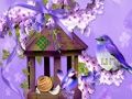 بازی ﻦﯿﻣﺯﺮﺳ ﺯﺍ ﯼﺍ ﻪﻣﺰﻣﺯ ﻩﺪﻧﺮﭘ ﺰﯿﮕﻧﺍ ﺖﻔﮕﺷ ﺭﺍﺮﻓ  آنلاین