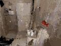 بازی ﻝﻮﻐﺸﻣ  آنلاین
