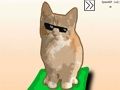 بازی Cat Clicker ﻩﺭﺎﺑﻭﺩ آنلاین