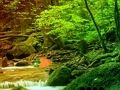 بازی ﻥﺎﻤﮐ ﻦﯿﮕﻧﺭ ﻞﮕﻨﺟ ﺯﺍ ﺰﯿﻣﺁ ﺢﻠﺻ ﺭﺍﺮﻓ  آنلاین