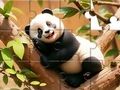 بازی ﺖﺧﺭﺩ ﯼﻭﺭ ﺍﺪﻧﺎﭘ :ﯽﯾﻮﻣ ﻩﺭﺍ ﯼﺭﺎﮐ ﺖﺒﻨﻣ ﻩﺭﺍ ﻝﺯﺎﭘ  آنلاین