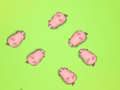 بازی Piggies ﺕﺎﺠﻧ  آنلاین