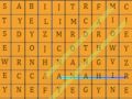 بازی Html5 ﻪﻤﻠﮐ ﯼﻮﺠﺘﺴﺟ  آنلاین
