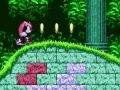 بازی Mighty & Ray ﺭﺩ Sonic 2  آنلاین
