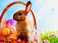 بازی ﮎﺎﭘ ﺪﯿﻋ ﻥﺎﻣﺯ ﻥﺎﻬﻨﭘ ﯼﺎﻫ ﻩﺭﺎﺘﺳ آنلاین بازی ﮎﺎﭘ ﺪﯿﻋ ﻥﺎﻣﺯ ﻥﺎﻬﻨﭘ ﯼﺎﻫ ﻩﺭﺎﺘﺳ آنلاین
