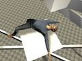 بازی Ragdoll ﺖﺴﺗ  آنلاین