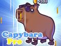 بازی Capybara Pro آنلاین