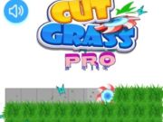 بازی Grass Pro ﺪﯿﻫﺩ ﺵﺮﺑ ﺍﺭ  آنلاین