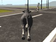 بازی Crazy Bull City  آنلاین