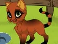 بازی My Kitten آنلاین