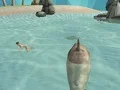 بازی Shark Simulator Beach Killer آنلاین