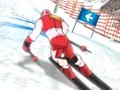 بازی Winter Sports: Slalom Hero آنلاین
