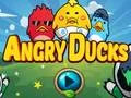 بازی Angry Ducks آنلاین