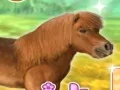 بازی My Dear Pony آنلاین