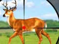 بازی Wild Hunt Hunting Games 3D آنلاین