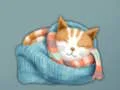 بازی Adorable Escape Find Cute Kitten آنلاین