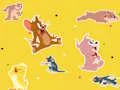 بازی The Tom and Jerry Show Find it! آنلاین