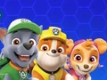 بازی Paw Patrol آنلاین
