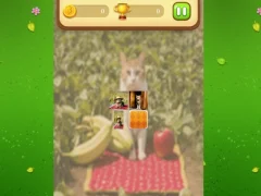 بازی Farm Cat Memory Match آنلاین
