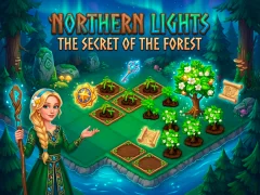 بازی Northern Lights - The Secret Of The Forest آنلاین