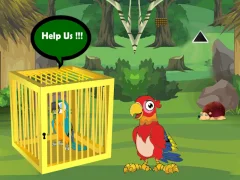 بازی Release Trapped Macaw Buddy آنلاین
