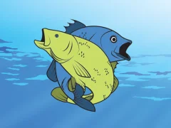 بازی Friendly Fish Coloring آنلاین