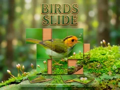 بازی Birds Slide آنلاین