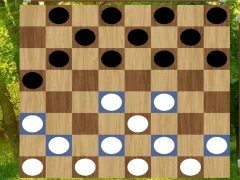 بازی Classic Checkers: Forest آنلاین