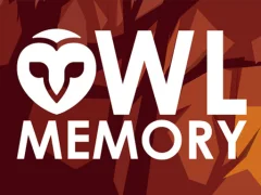 بازی Owl Memory آنلاین