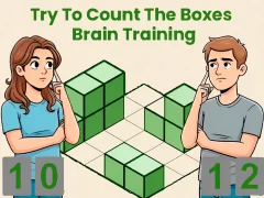 بازی Try To Count The Boxes Brain Training آنلاین