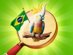 بازی Hidden Objects: Vacation in Brazil آنلاین
