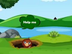 بازی Help Injured Bird Fallen Down آنلاین