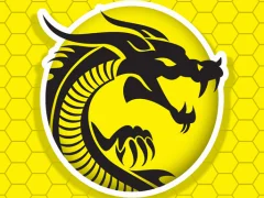 بازی Kung Fu Fury آنلاین