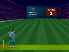 بازی Cricket Night 2 آنلاین