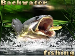 بازی Backwater Fishing آنلاین