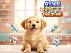 بازی Asmr Pet Treatment آنلاین