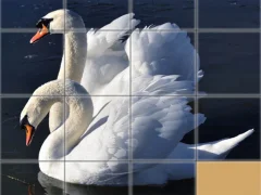 بازی Animals Slide Puzzle آنلاین